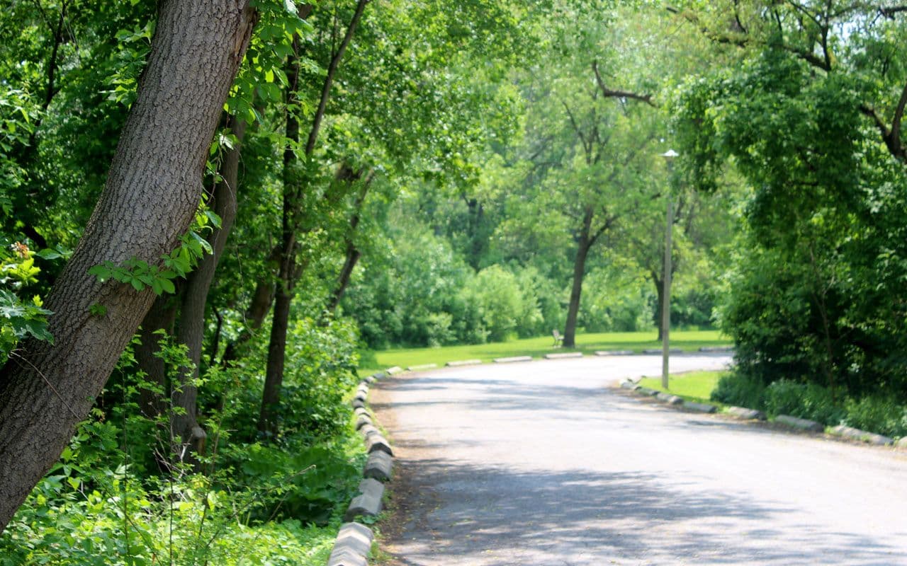 King's Mill Park